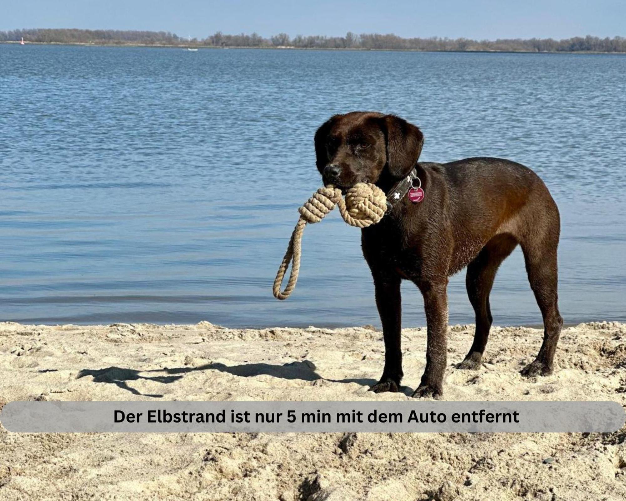 Lodge Of Africa - Einzigartige Themenzimmer, Eingezaeunten Garten, Sauna, Whirlpool & Kamin, Hunde Willkommen, Gasgrill, Voll Ausgestattete Kueche, Grosser Essbereich, Hamburg & Stade In Der Naehe Twielenfleth Εξωτερικό φωτογραφία