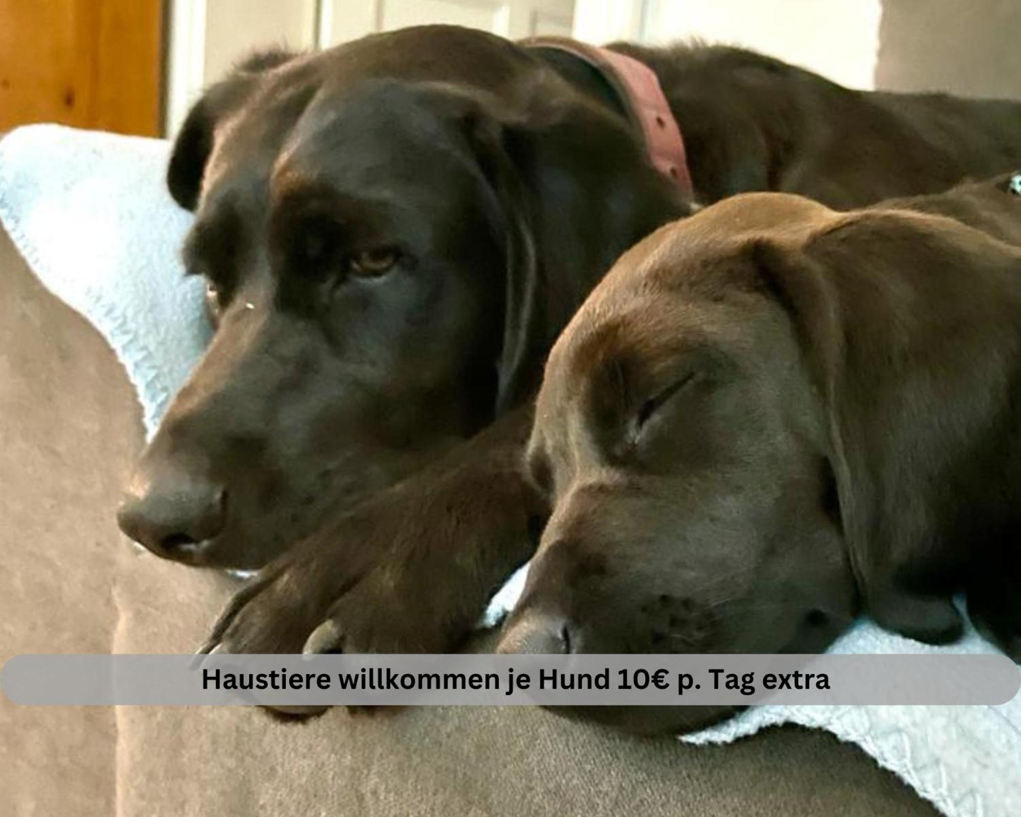 Lodge Of Africa - Einzigartige Themenzimmer, Eingezaeunten Garten, Sauna, Whirlpool & Kamin, Hunde Willkommen, Gasgrill, Voll Ausgestattete Kueche, Grosser Essbereich, Hamburg & Stade In Der Naehe Twielenfleth Εξωτερικό φωτογραφία